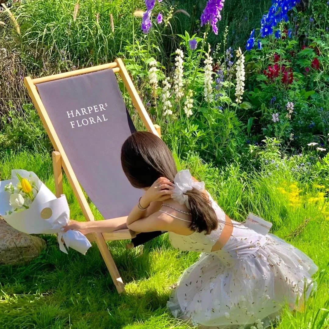 美人鱼之海盗来袭